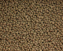 Vetalogica Naturals Grain Free Salmon Adult Dog Food