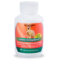 Canine Omegaderm Pack